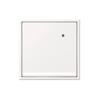 JUNG_IMG_LS990_LED-Switch-2_WW_F_on_RGB